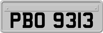 PBO9313