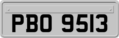 PBO9513