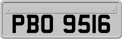 PBO9516