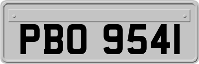 PBO9541