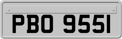 PBO9551