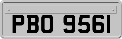 PBO9561