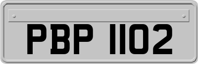 PBP1102