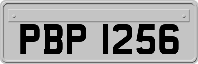 PBP1256