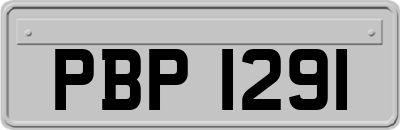 PBP1291