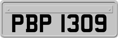 PBP1309