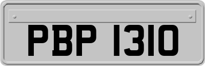 PBP1310