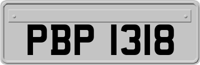 PBP1318