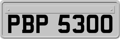 PBP5300