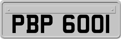 PBP6001