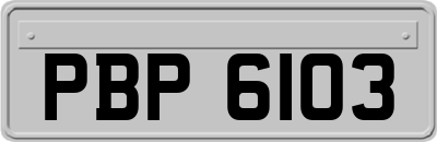 PBP6103