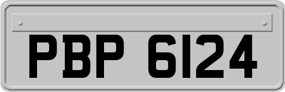 PBP6124