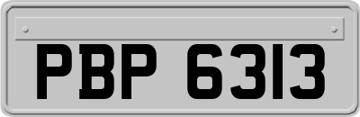 PBP6313