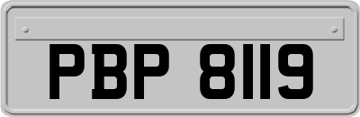 PBP8119