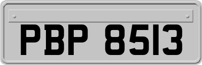 PBP8513