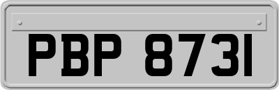 PBP8731