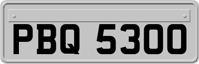 PBQ5300