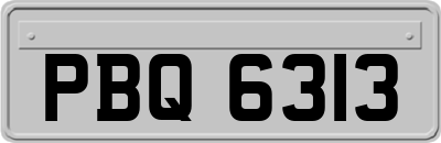 PBQ6313