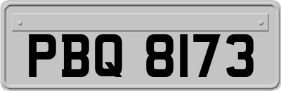 PBQ8173