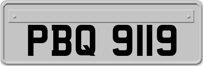 PBQ9119