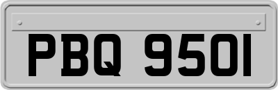 PBQ9501