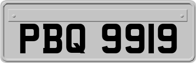 PBQ9919