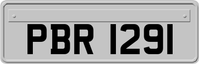 PBR1291