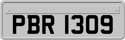 PBR1309