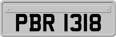 PBR1318