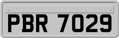 PBR7029