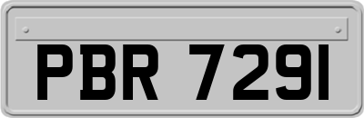 PBR7291