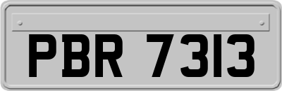 PBR7313