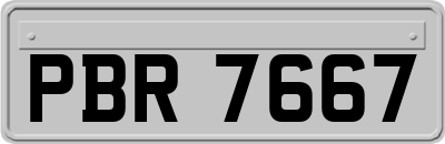 PBR7667