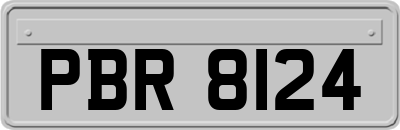 PBR8124