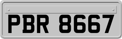 PBR8667