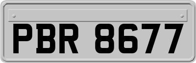 PBR8677