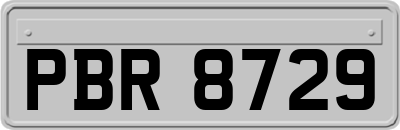 PBR8729