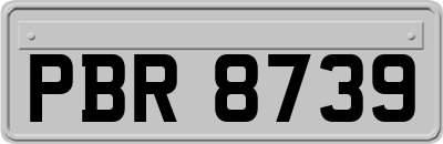 PBR8739