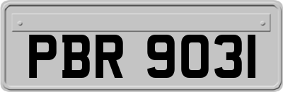 PBR9031