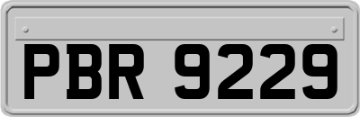 PBR9229