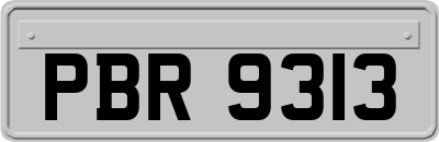 PBR9313