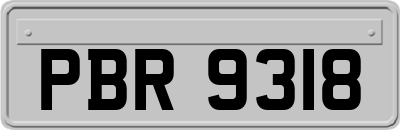 PBR9318