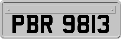 PBR9813