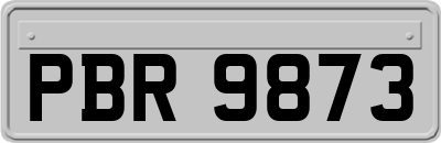 PBR9873