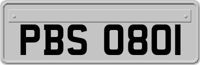 PBS0801