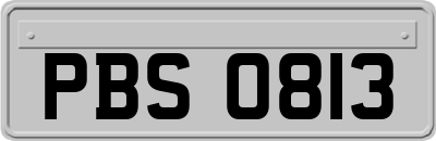 PBS0813