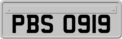 PBS0919