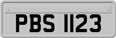 PBS1123