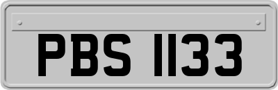 PBS1133