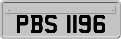 PBS1196